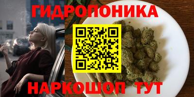 сатива Нарткала