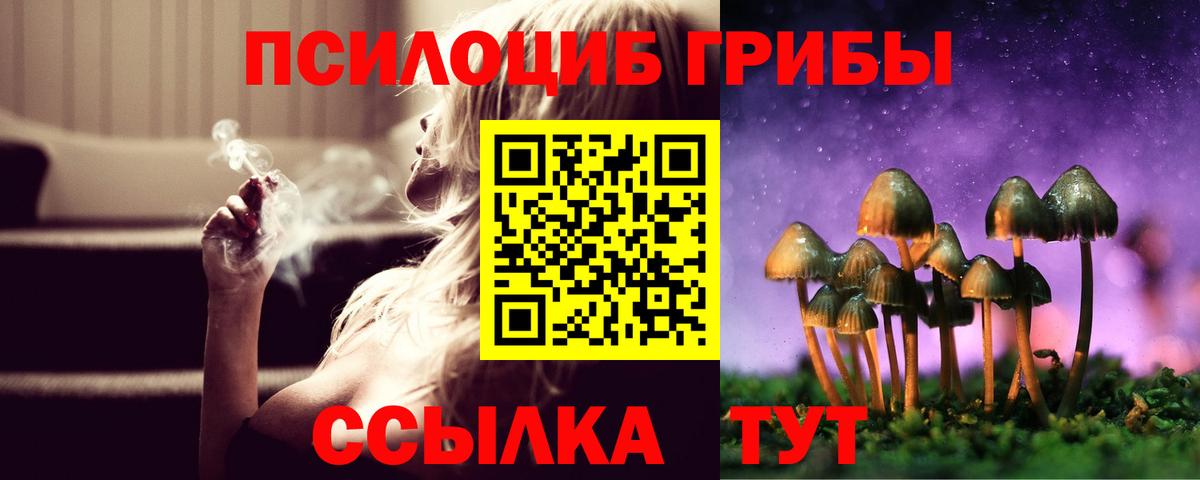 наркошоп  Вход с VPN  Анжеро-Судженск  Псилоцибиновые грибы прущие грибы 